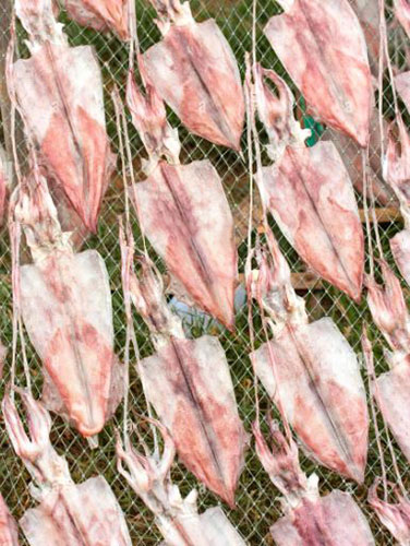 Công ty sản xuất mực 1 nắng uy tín