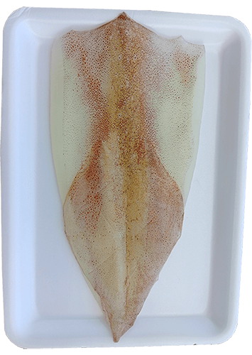 Mực ống 1 nắng siêu ngon