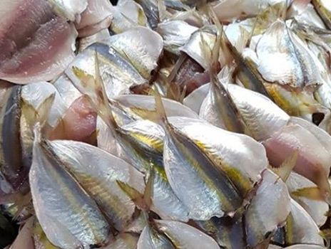 Sơ chế cá chỉ vàng sạch